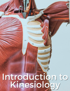 introductin to kinesiology textbook cover of anatomical model