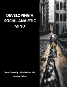 Developing a Social Analytic Mind book cover