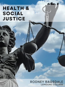 Health and Social Justice book cover