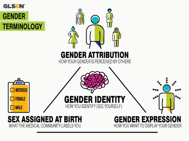 Gender terminology chart