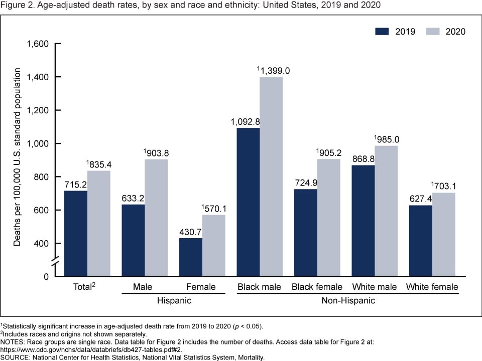 Age-Adjusted Death Rates by Sex and by Race/Ethnicity United States 2019 and 2020