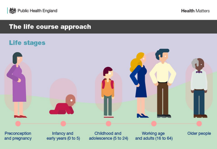 life stages image that includes preconception, pregnancy, infancy, early years, childhood, adolescence, working age, adults, and older people